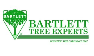 BTE_LOGO_GREEN_6001-800x480